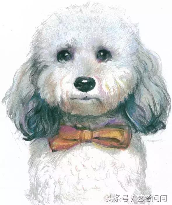 零基础怎么用彩铅画出毛茸茸的萌猫? 零基础怎么用彩铅画出毛茸茸的萌猫?