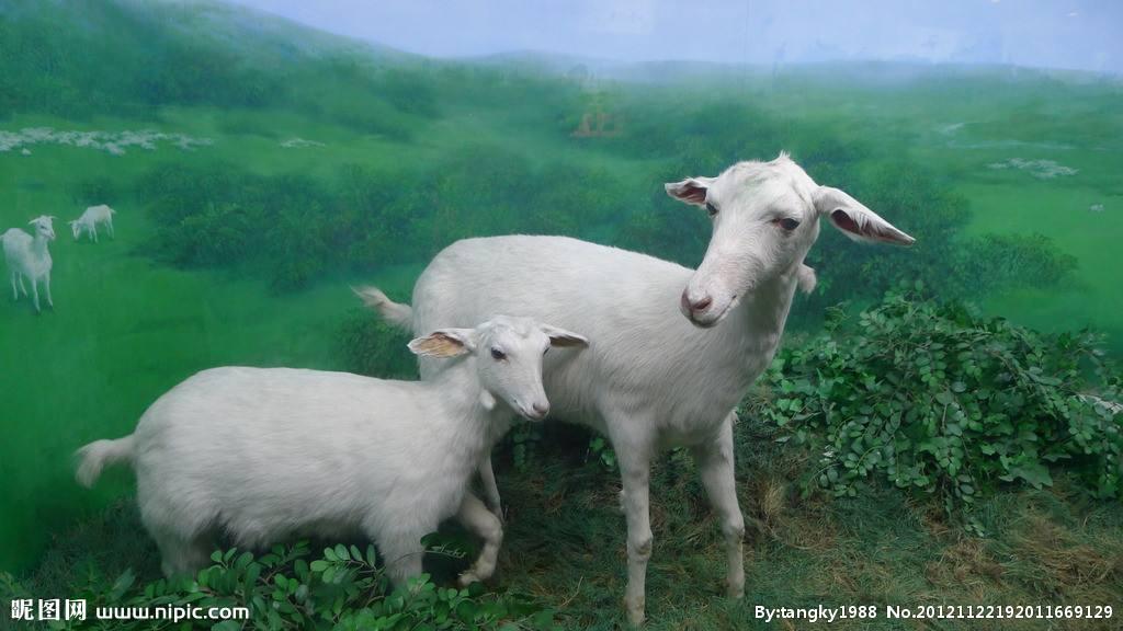 酷达论坛到底值不值得新手小白死磕？