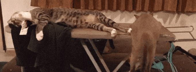 杭州二手车市场真的能淘到宝吗？