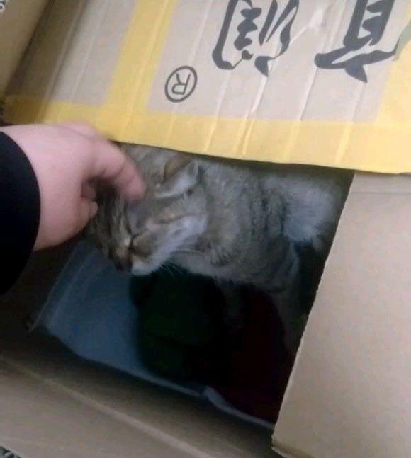 在德国混华人圈居然不知道萍聚论坛？