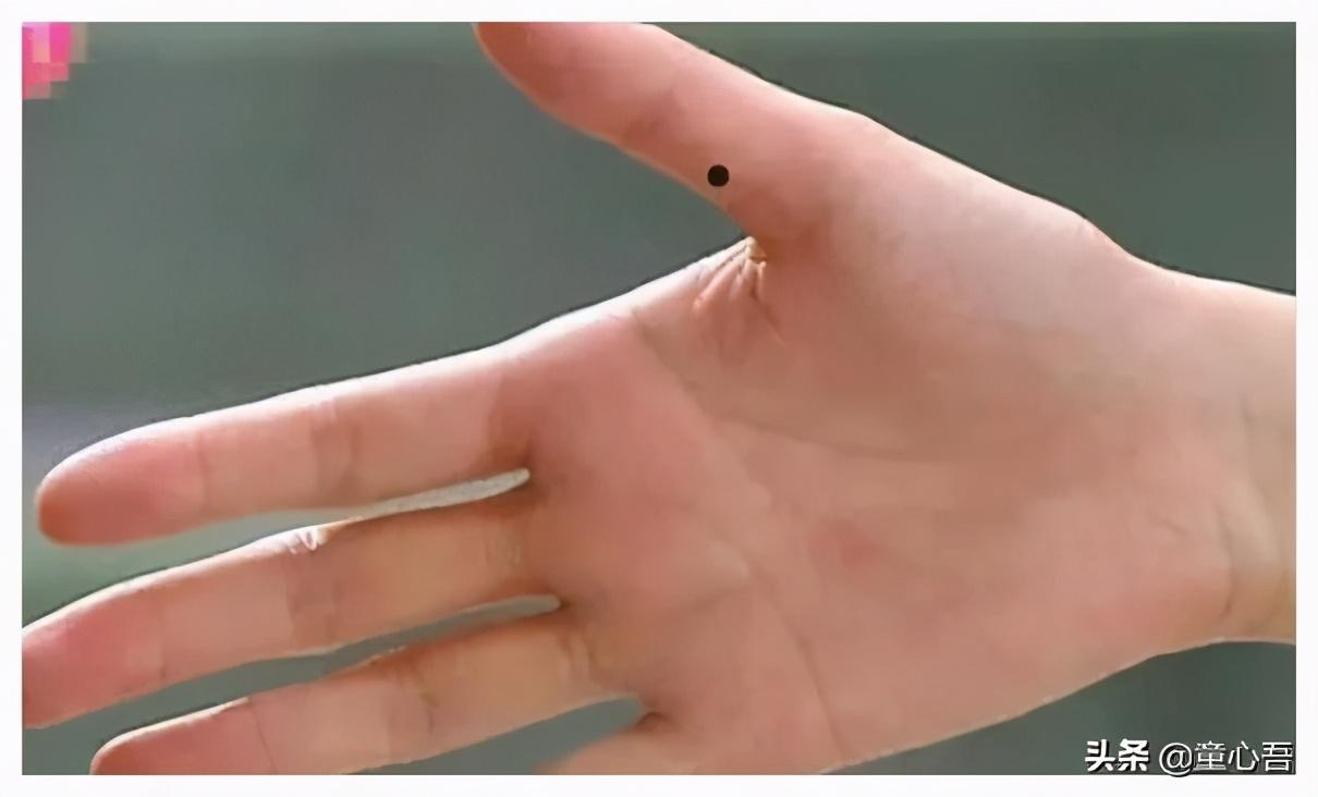 刚来布里斯班怎么找到靠谱华人组织? 刚来布里斯班怎么找到靠谱华人组织?