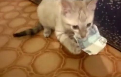 汇金App被骗充值无法提现怎么办-平台充值无法提现如何追回