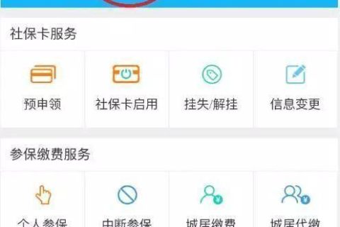 还在愁手机上怎么查询社保卡信息？教你几步轻松搞定，新手也能快速上手！