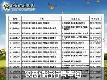 本地农商银行电话号码不清楚？这里有准确号码，赶紧收藏起来！