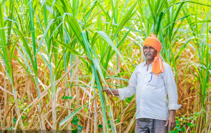 印度首富是高种姓还是低种姓_印度种姓制度与贫富差距_印度富豪生活方式与贫困人口