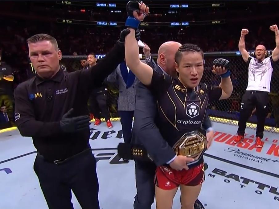 带主子坐飞机会被空姐赶下飞机吗？