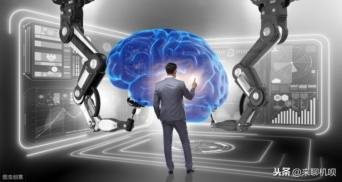 你家猫主子为啥总把尾巴竖得像天线? 你家猫主子为啥总把尾巴竖得像天线?