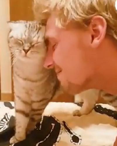 为什么你的猫总在你崩溃时蹭你脸？