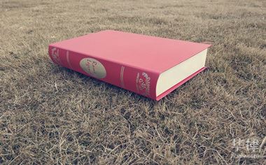 律师有权依法调取证据吗