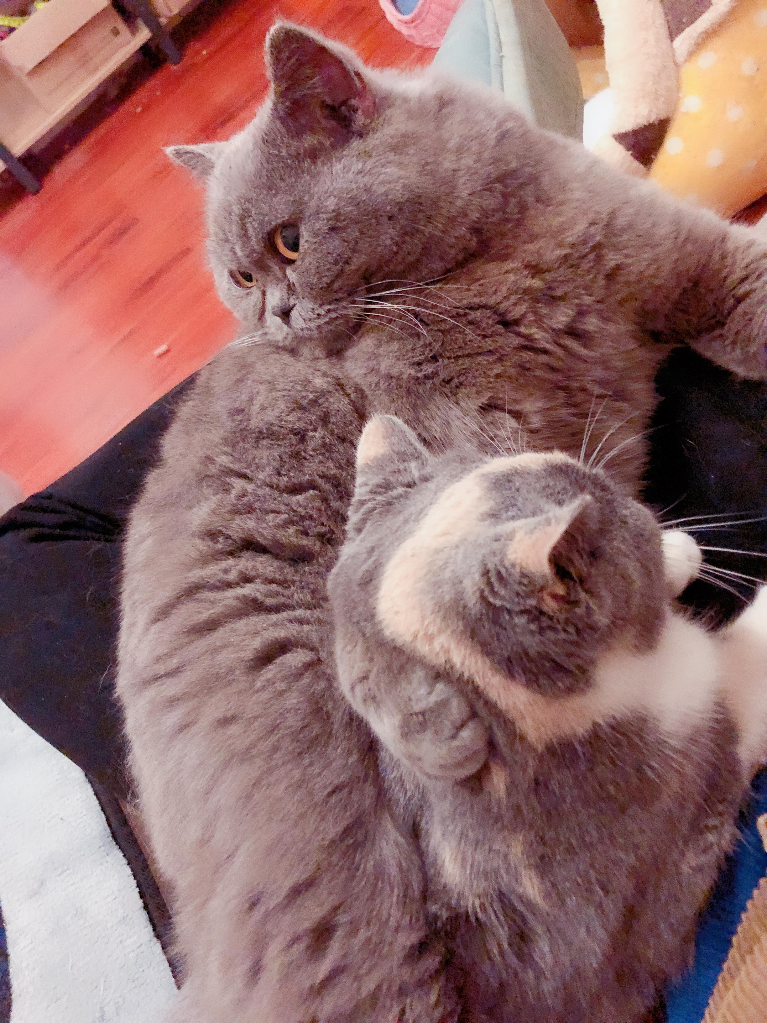 途胜到底值不值得买？新手必看的避坑指南