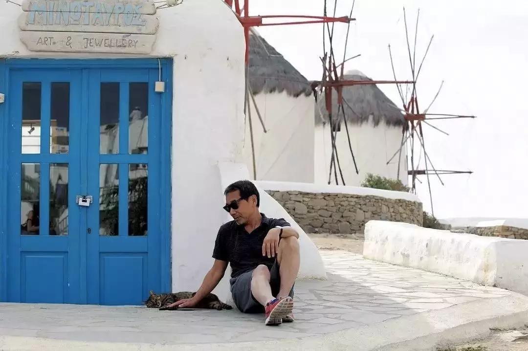 城里猫真的能在乡下活出猫生巅峰吗？