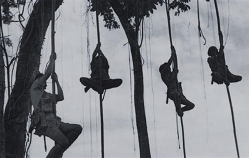 梦见腿毛浓密的心理学解析与运势指南 梦见腿毛浓密的心理学解析与运势指南