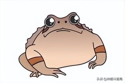 为什么新手总在 03 关卡栽跟头? 为什么新手总在 03 关卡栽跟头?