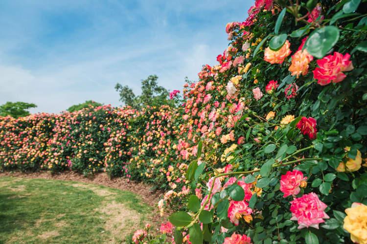 新手买二手大切诺基到底靠不靠谱？