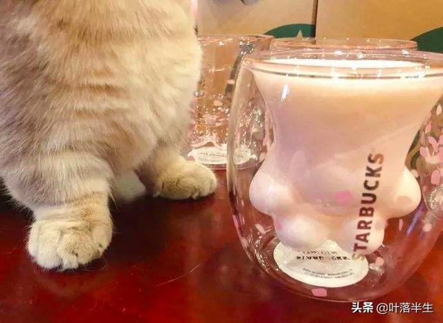 零基础也能织出超萌猫爪杯垫吗? 零基础也能织出超萌猫爪杯垫吗?