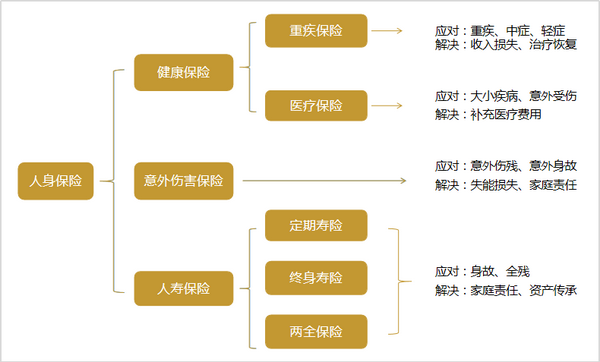 紫金保险主要险种有哪些？性价比高吗？选品指南