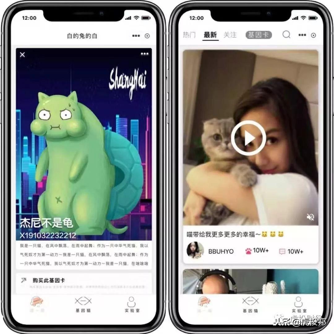不会养猫的人靠想象能获得真实快乐吗? 不会养猫的人靠想象能获得真实快乐吗?