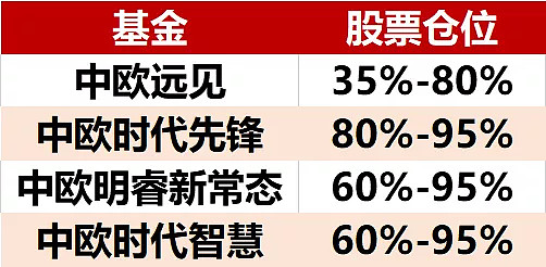 中欧价值发现混合基金经理是谁,投资过的人来给你详细说说 中欧价值发现混合基金经理是谁,投资过的人来给你详细说说