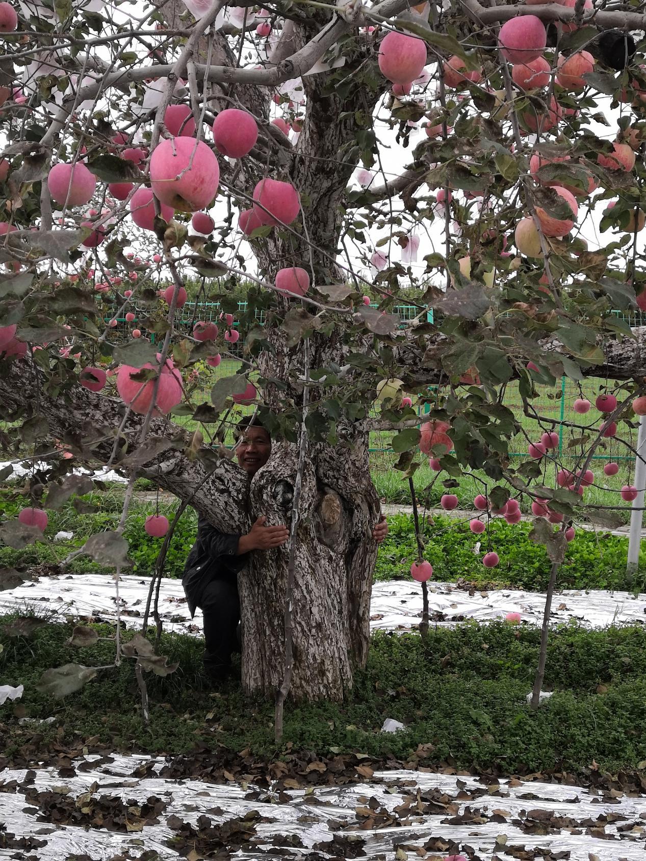 2000年出生的人到底是属龙还是属兔？