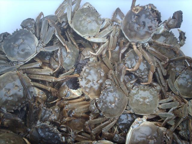 刚来德国的华人如何快速找到组织? 刚来德国的华人如何快速找到组织?