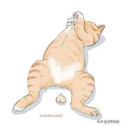 零基础怎么画出萌到爆的水彩猫咪？