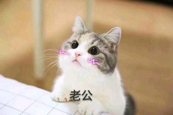 二手林肯值得买吗?省5万避坑指南全解析 二手林肯值得买吗?省5万避坑指南全解析