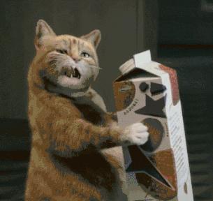 猫咪喝牛奶真的会拉肚子吗? 猫咪喝牛奶真的会拉肚子吗?