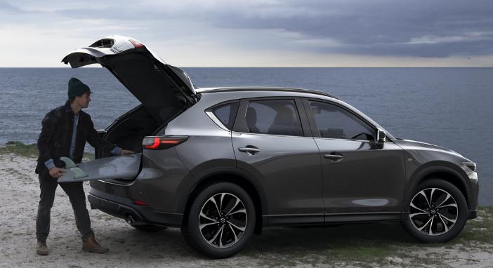 新手玩阿莱芒为什么总被BOSS按在地上摩擦？