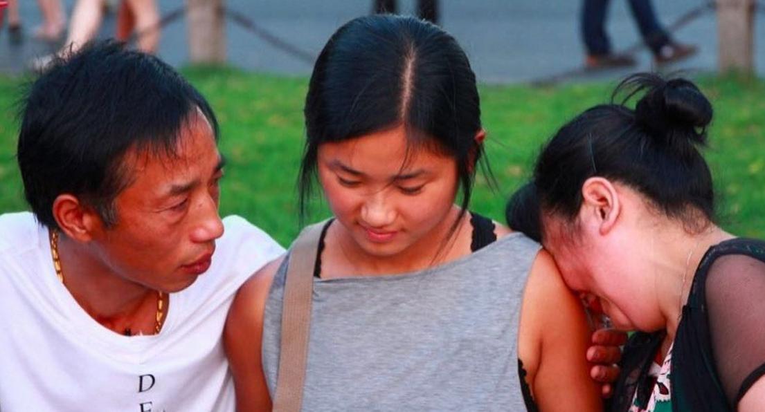 苏州哪里能免费领养到健康猫咪？