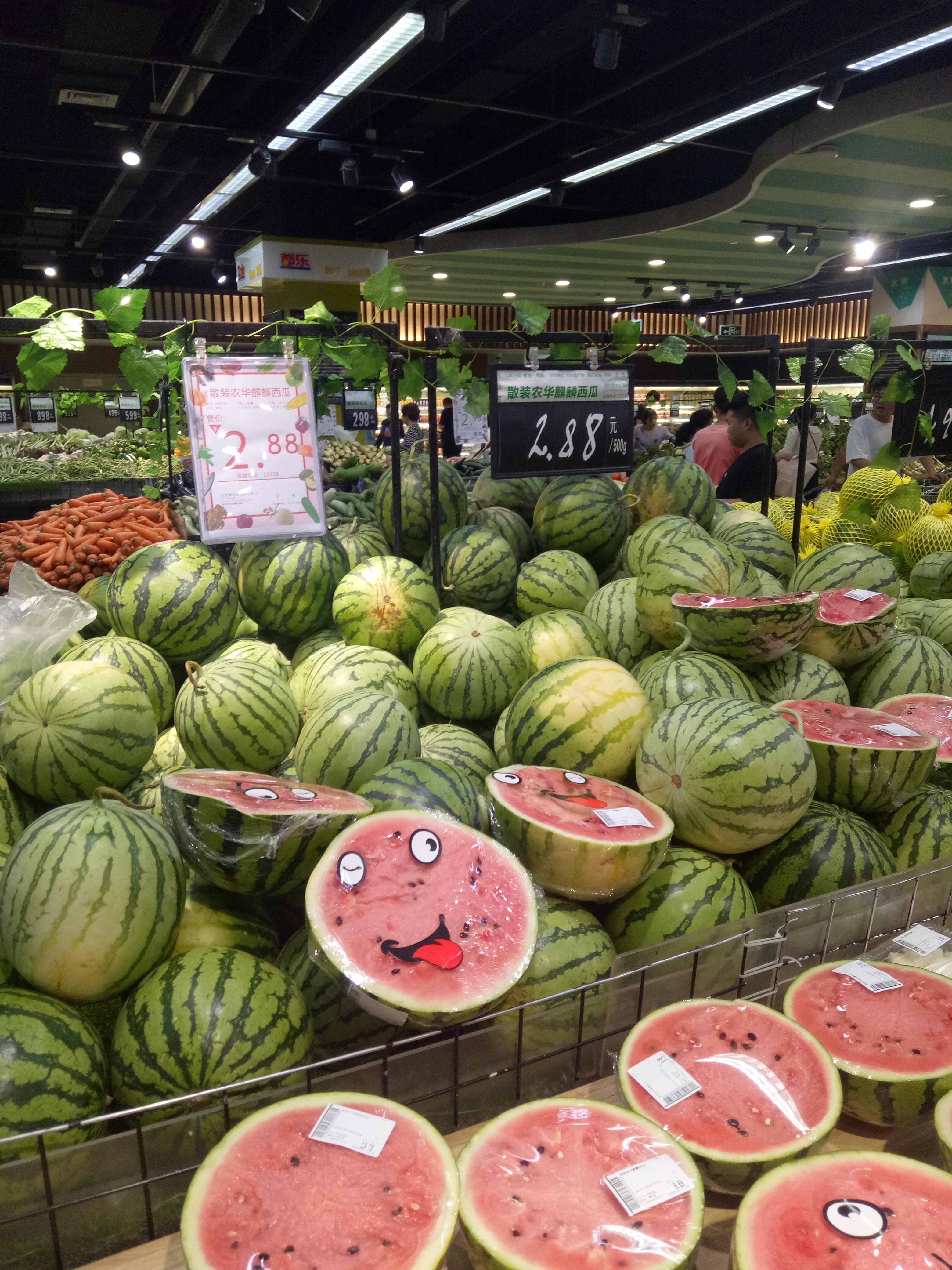 猫咪能啃西瓜吗？这些水果铲屎官必须知道