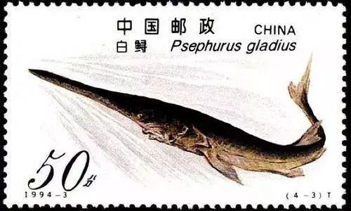 2025年梦见胳肢窝毛多的3大玄机！天蝎座贵人藏在茂盛里