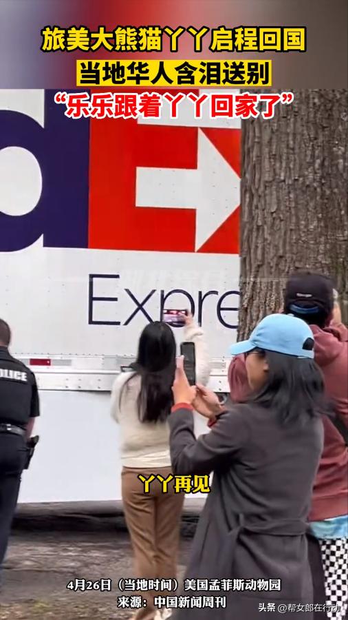 华人论坛丫丫到底该怎么玩？新手必看避坑指南