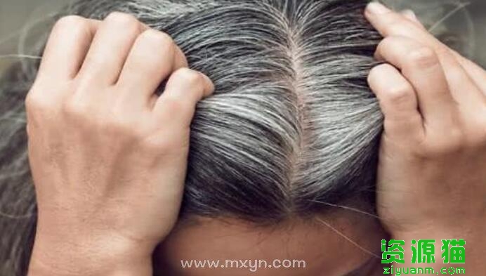 梦见拔白头发预示什么？解梦大师揭秘吉凶与转运法则