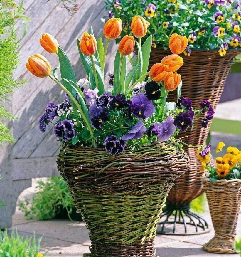 车子撞了保险怎么赔?新手必看的理赔避坑指南 车子撞了保险怎么赔?新手必看的理赔避坑指南