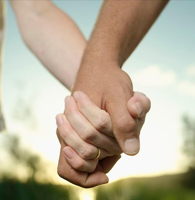 南阳40亿投资争议调查，官方回应与舆论质疑并存，如何破解信息迷雾？