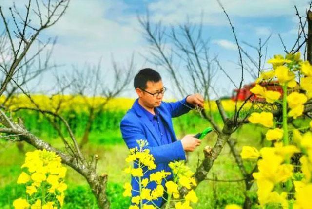 梦见下雪是老天爷在发信号吗？