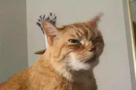 淘宝双旦节是几月几号 淘宝双旦节活动日期