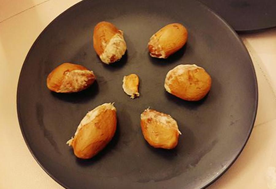 主子偷吃板栗会中毒吗？