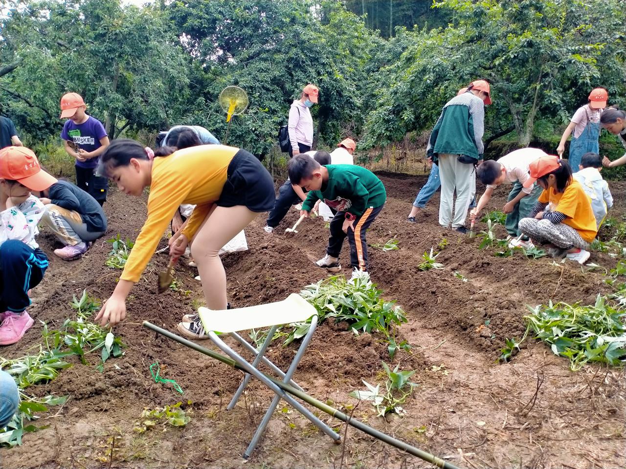 在广州领养猫咪到底靠不靠谱? 在广州领养猫咪到底靠不靠谱?