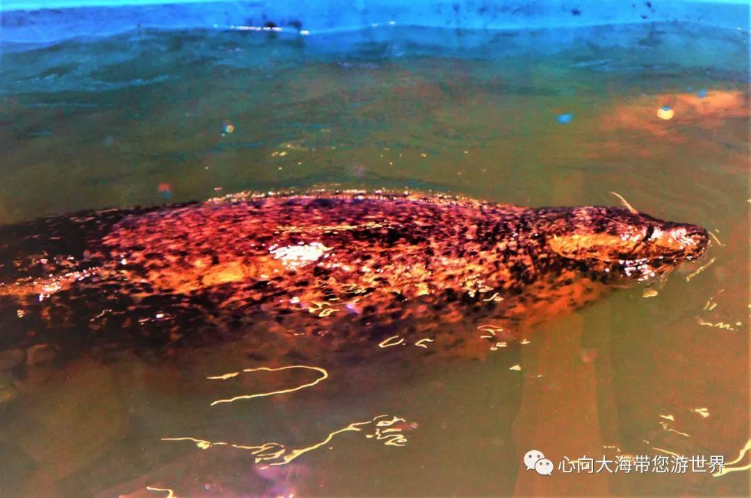 算命为啥总问出生地？真太阳时到底有多玄乎？