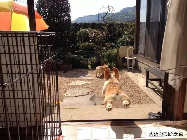 威尔士是英国的一部分还是独立王国？