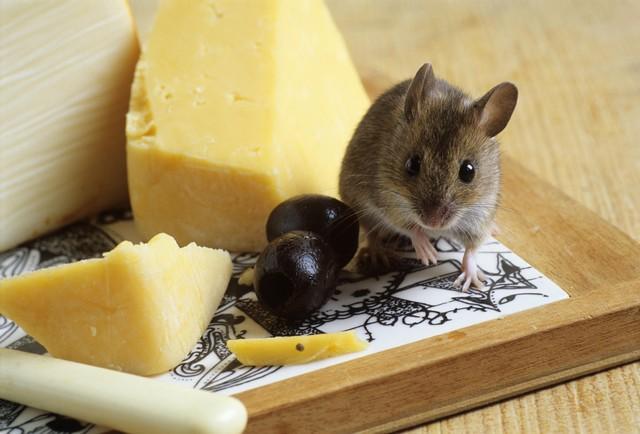 男人梦见情人老公和儿子预示什么？2025年深层解读