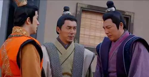 新手养猫到底该怎么选口粮？