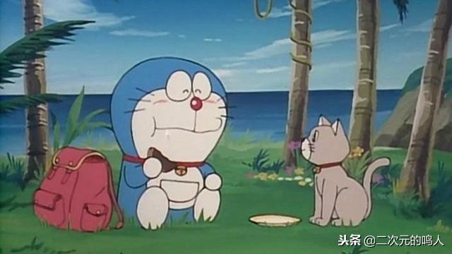 小猫咪真的需要上学吗？