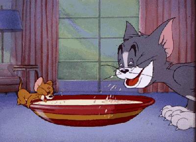 猫咪喝牛奶真的会死吗？