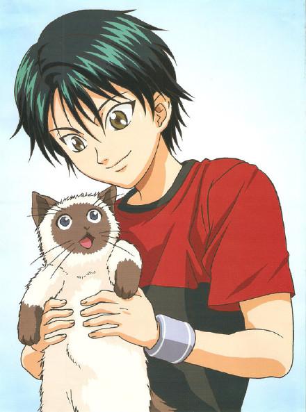 新手铲屎官该怎么给猫主子起个不烂大街的名字？