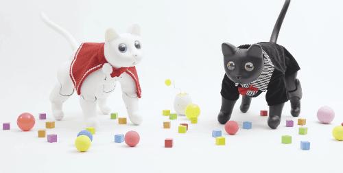 一张纸怎么变成会卖萌的立体猫？