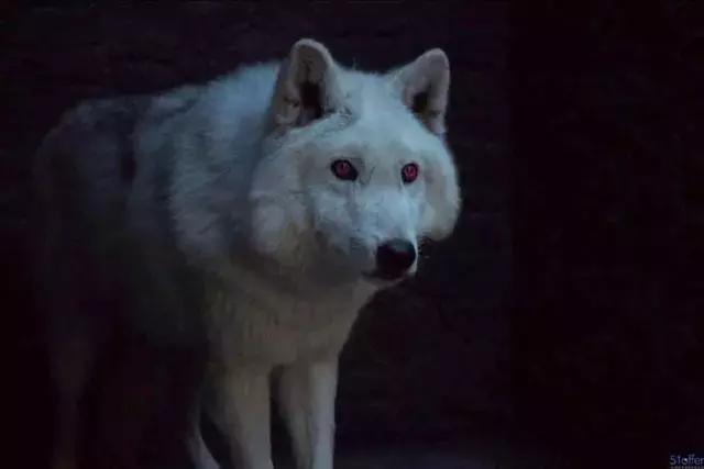 参字查字典该找哪个部首? 参字查字典该找哪个部首?