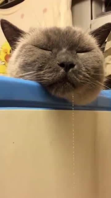 英朗GT现在优惠多少？工薪族买车如何省下2万冤枉钱