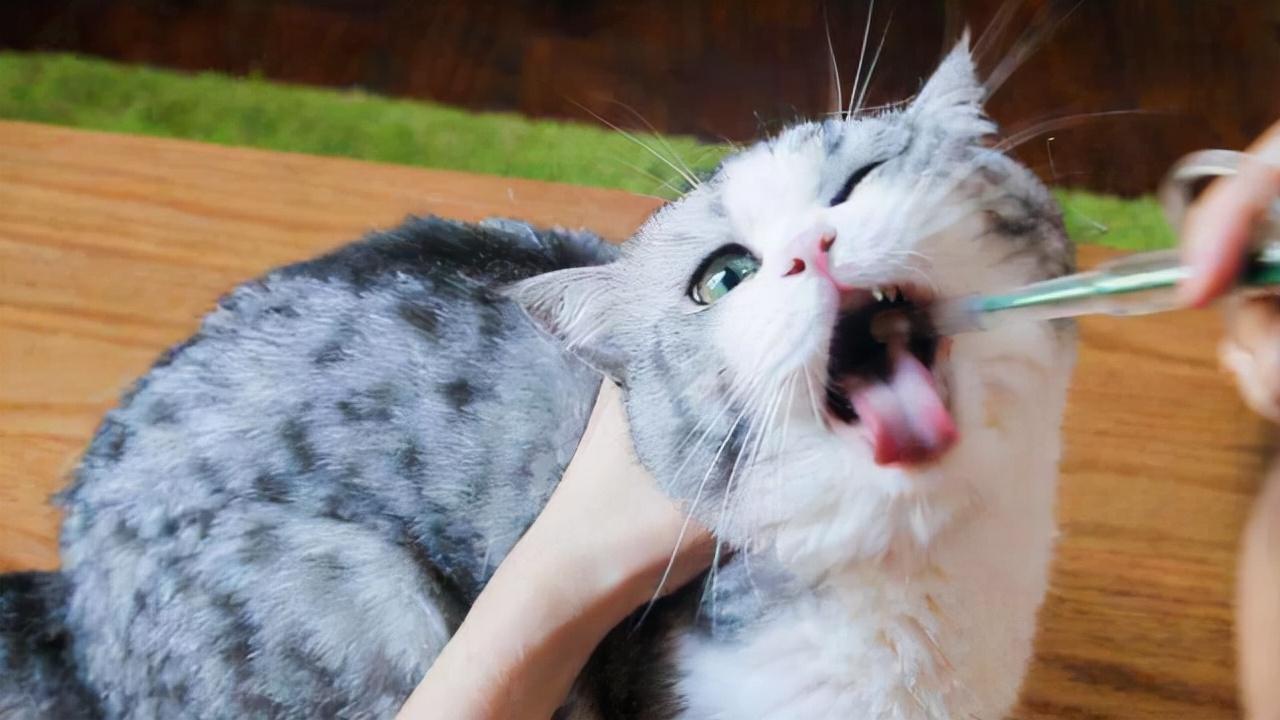 凯立德2014春季破解版现在还能用吗? 凯立德2014春季破解版现在还能用吗?